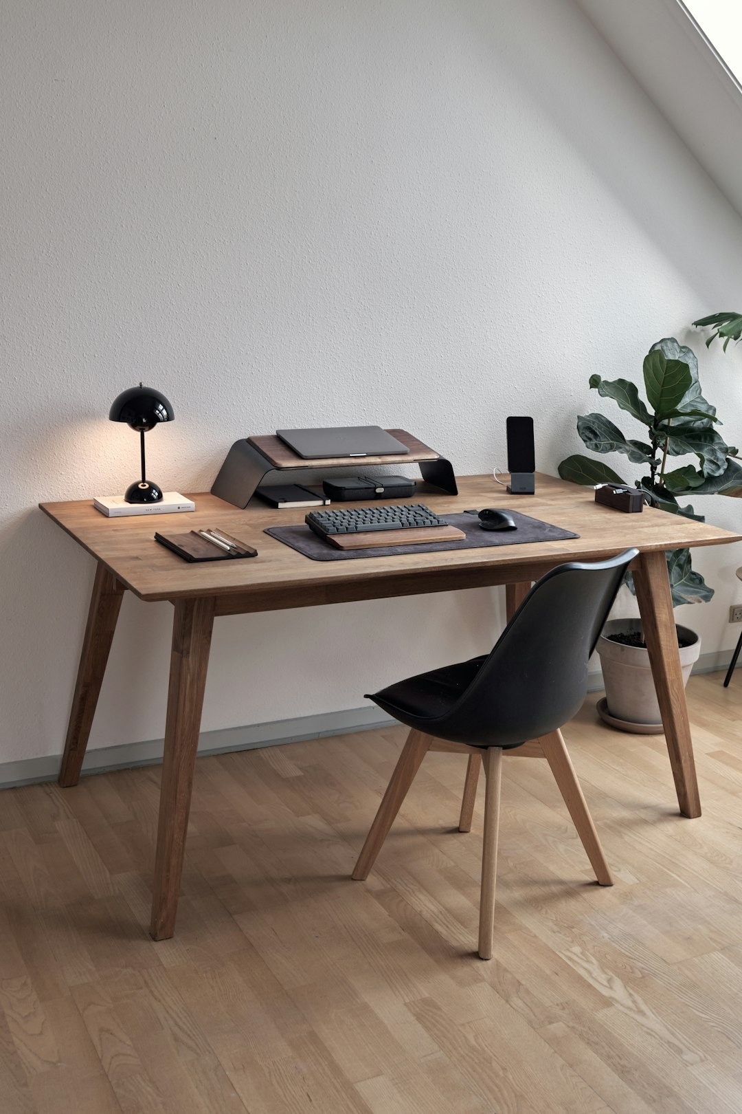 Organized home office desk with laptop, lamp, and plant.